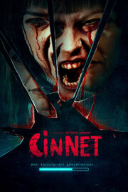 Cinnet